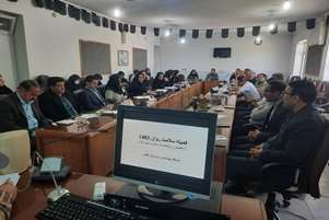 برگزاری اولین کمیته تخصصی روانشناسان شورای سلامت شهرستان اقلید 